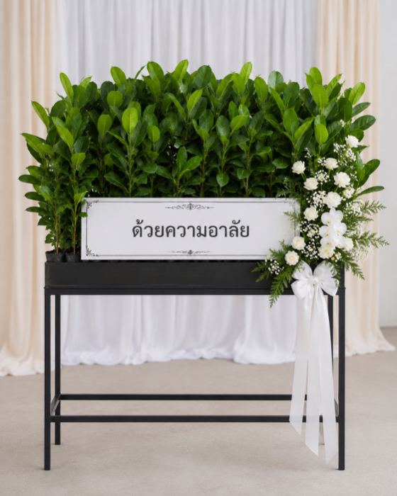 พวงหรีดต้นกากะทิงแบบกล่องวางพื้น พร้อมช่อดอกขาวด้านข้าง