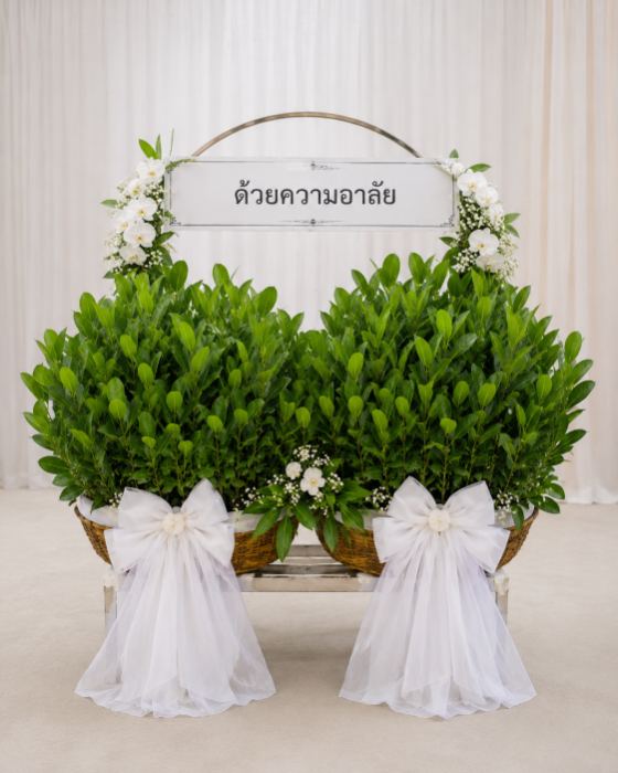 พวงหรีดต้นกากะทิงตะกร้าคู่ · ป้ายโค้งด้านบน พร้อมโบว์ขาว 2 ข้าง